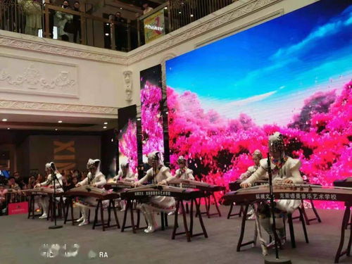 西宁电视台 我要上春晚 克莱德曼音乐艺术学校专场音乐会