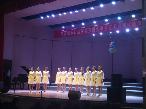 视觉盛宴 | 宁夏回族自治区第五届大学生艺术展演开幕式暨声乐专场图集，奏响青春乐章